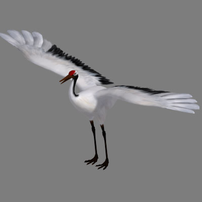 obj crane flight - Crane by Bird Studio